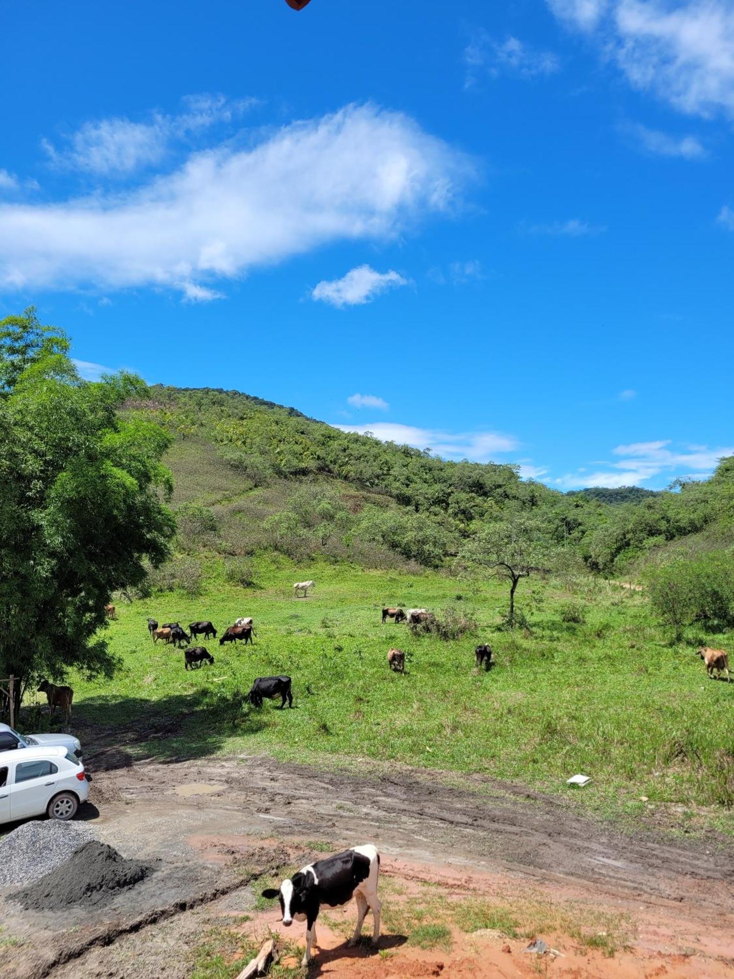 Pousada Camping Dos Ypes Guapimirim Exterior foto